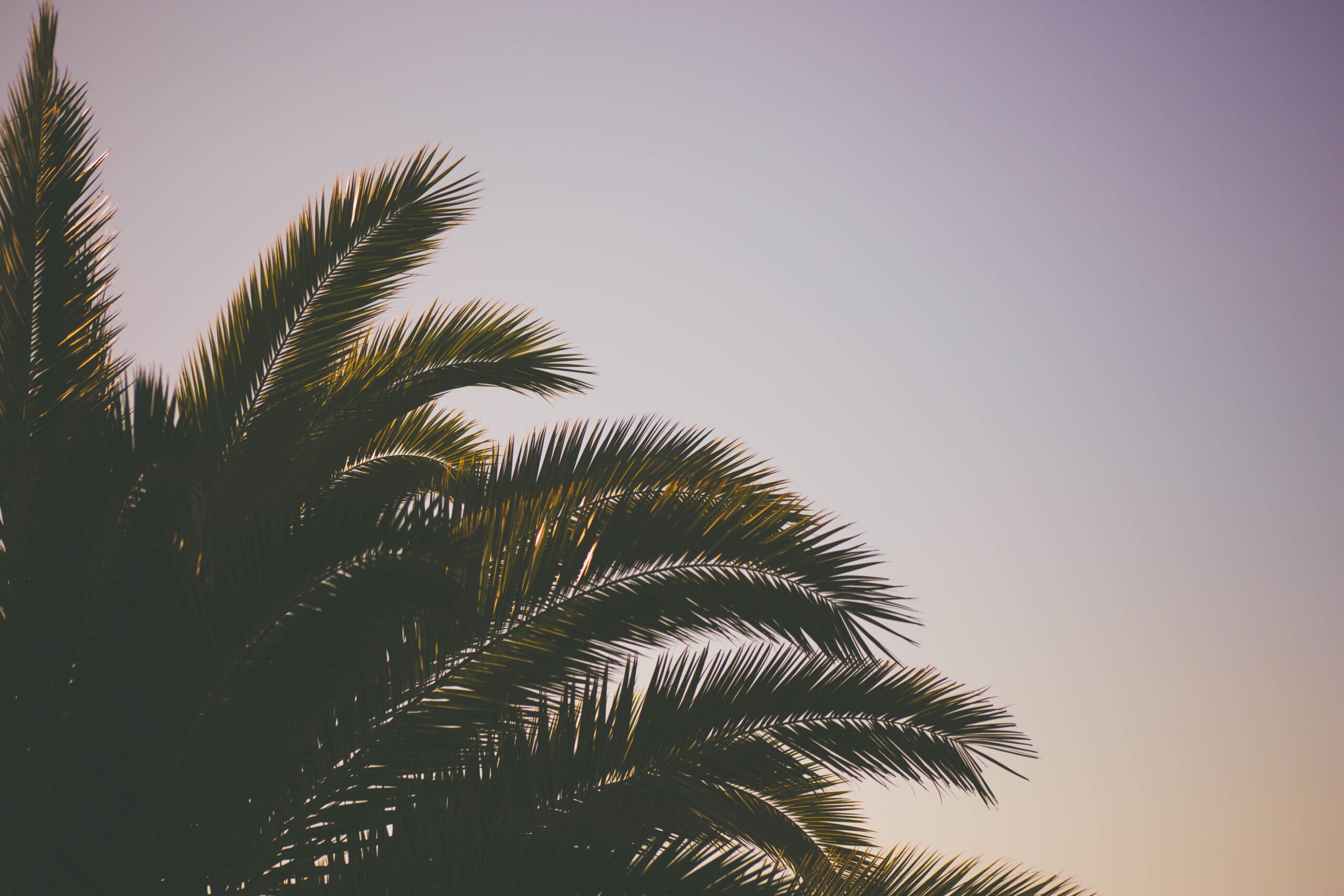 samuel-scrimshaw-RD1tQOC_IF8-unsplash