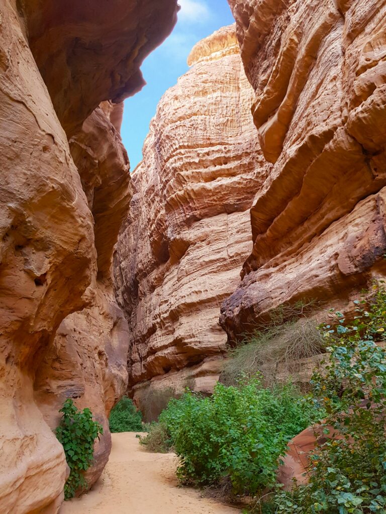 A winding passage between AlUla’s sandstone canyon walls